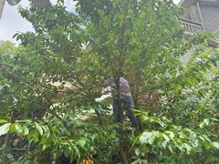 -高荡千年布依古寨旅游景区