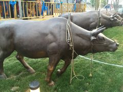 -大汗行宫园林餐厅