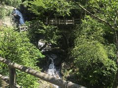 -东天目山风景区