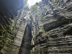 -梭布垭石林景区