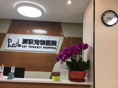 -派联宠物医院·24h·CT·异宠