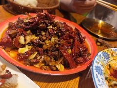 -柴窝堡22号辣子鸡·传承新疆菜