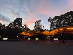 -广州长隆国际大马戏