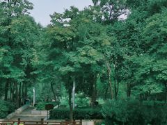 -长乐公园游乐场