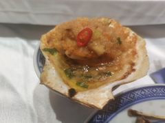 大扇贝-蠔友汇(皇姑店)