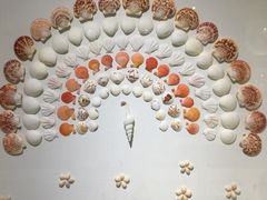 -青岛贝壳博物馆