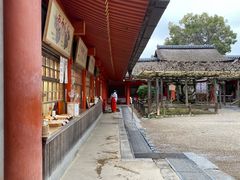 -奈良公园