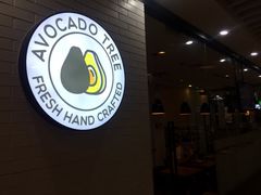 -油梨树 AVOCADO TREE(亮马桥店)