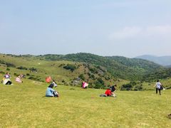 -大姆山草场