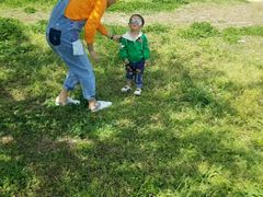 -桤木河湿地公园