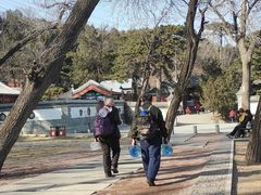 -阳台山自然风景区