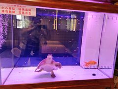 -老江南春·中国龙菜(衡山路店)