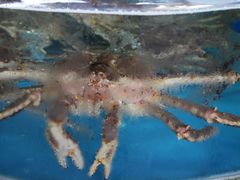 -清水湾3号(东方小周海鲜店)