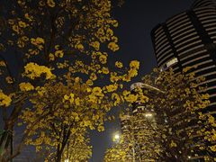 -洲头咀公园