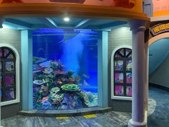 -成都浩海立方海洋公园