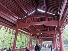-重庆彩云湖湿地公园