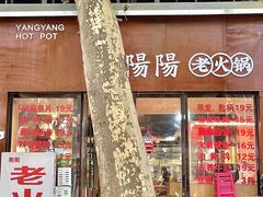 -阳阳老火锅(小南门店)