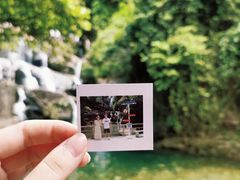 -鼎湖山风景区