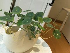 -名创优品(北京新中关购物中心地铁层店)