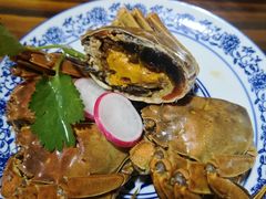 -呼吸森林·生态农庄农家乐私房菜