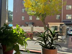 -小土豆北方菜馆(文慧园店)