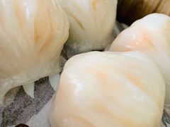 -金碧轩粤菜海鲜大酒楼