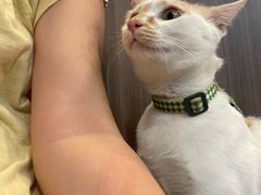 -Again Coffee Roaster(香蜜湖店)