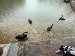 -湖泉半山温泉(湖泉生态园)