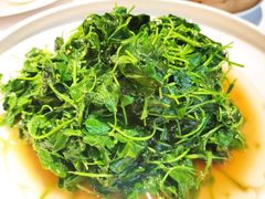-老人和饭店(打浦路店)