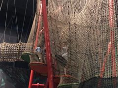 -珠海横琴国家地理探险家中心(创新方)