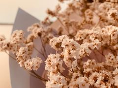 -K歌之王量贩式KTV(洪楼店)