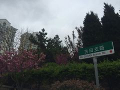 -半藏居酒屋(香港花园店)