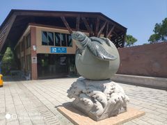 -广东惠东海龟国家级自然保护区