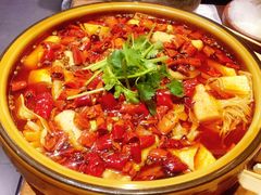 -薛阿婆(北美新天地中心店)