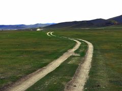 -乌兰布统景区-白桦林