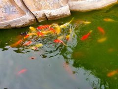 -开封府