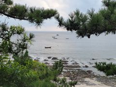 -大连金石滩滨海国家地质公园