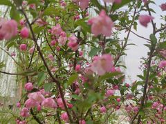 -元大都城垣遗址公园