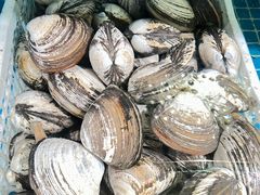 -江杨农产品批发市场