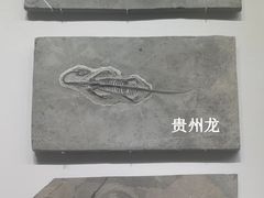 -柳州白莲洞洞穴科学博物馆