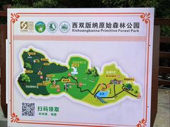 -西双版纳原始森林公园