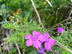 -白草畔自然风景区