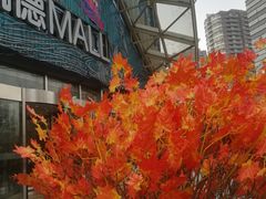 门面-凯德MALL(望京店)