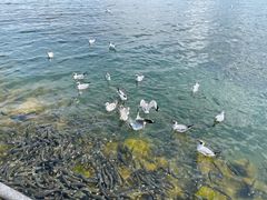 -青海湖二郎剑景区