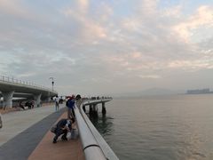 -演武大桥观景平台