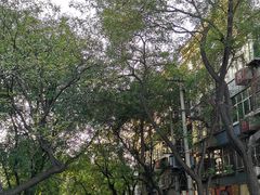 -湘子庙