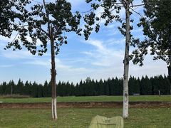 -汉长安城未央宫国家考古遗址公园