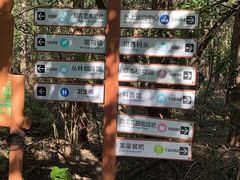 -同里国家湿地公园