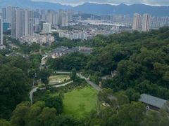 -金鸡山公园