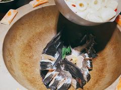 鲟鱼-滇小鱼·云南野生菌火锅(上杭路店)